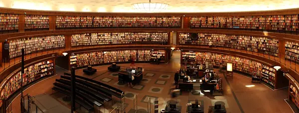 студенты читают книги в библиотеке